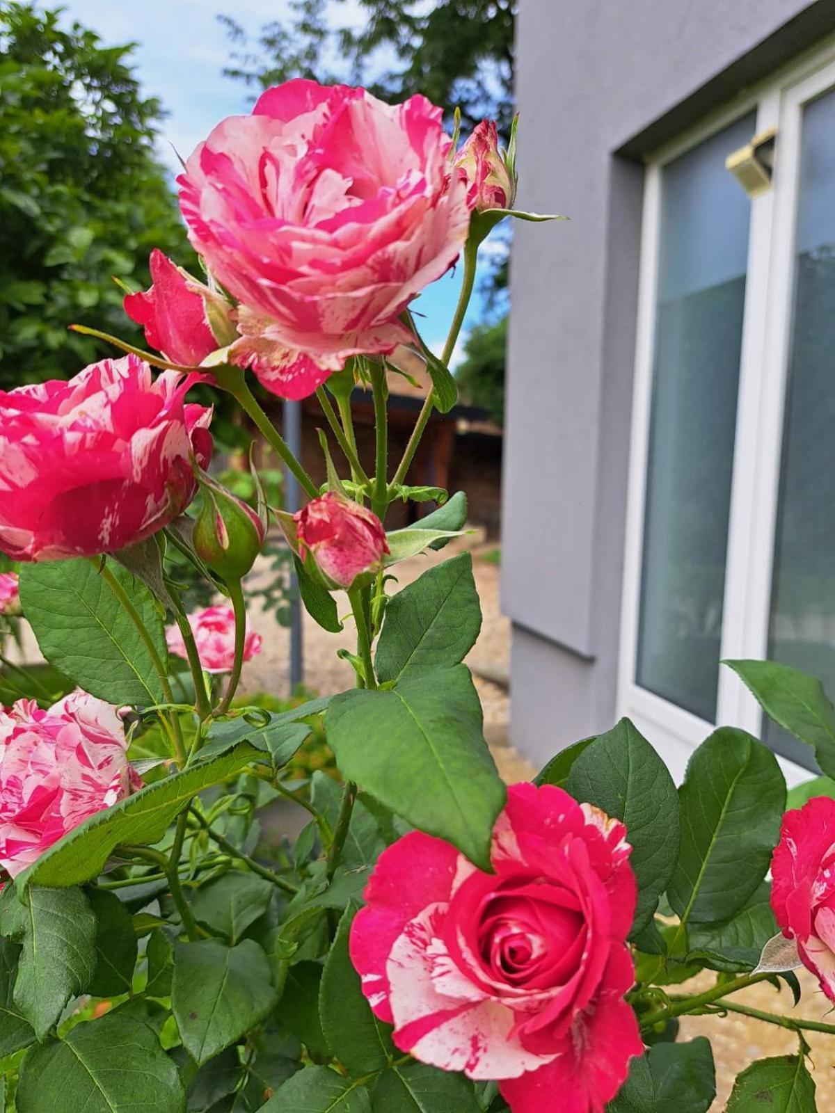 Apartmani Habibi Jalzabet Buitenkant foto