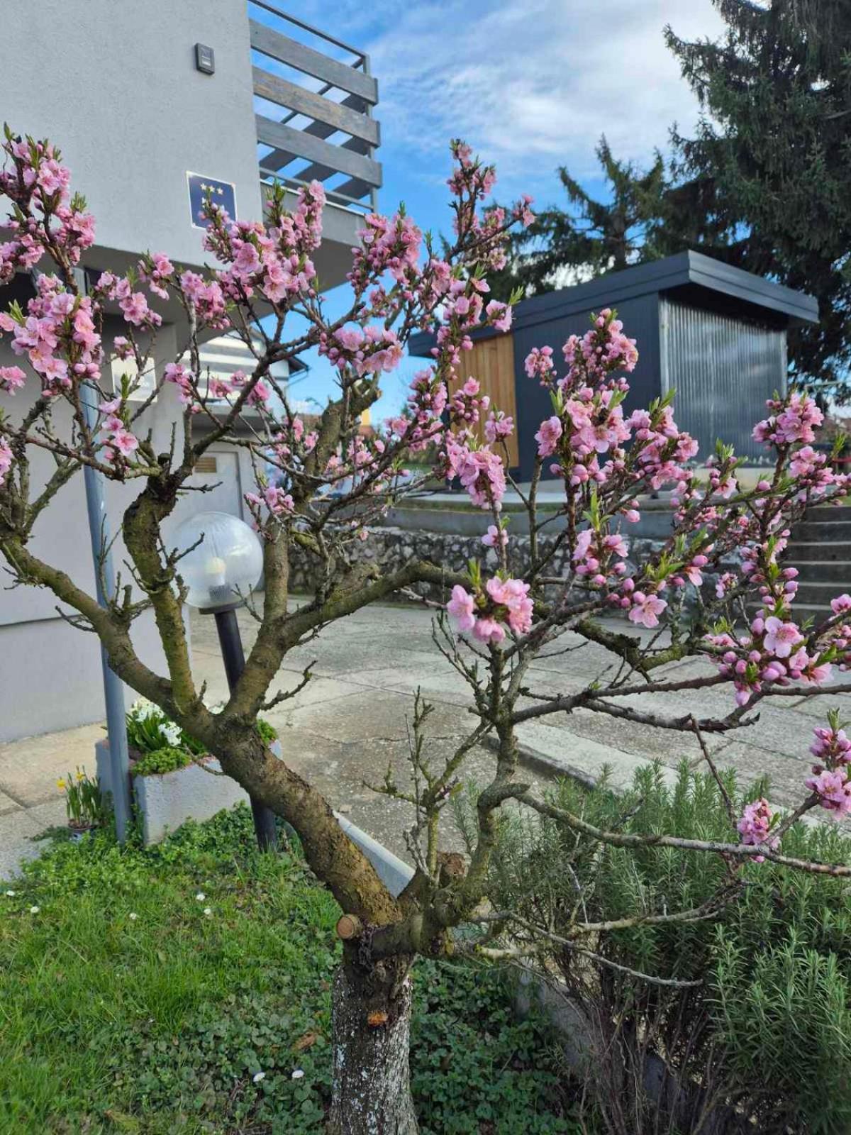 Apartmani Habibi Jalzabet Buitenkant foto
